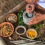 Herbal formulations validation in Gauvigyan Foundation in Jamnagar